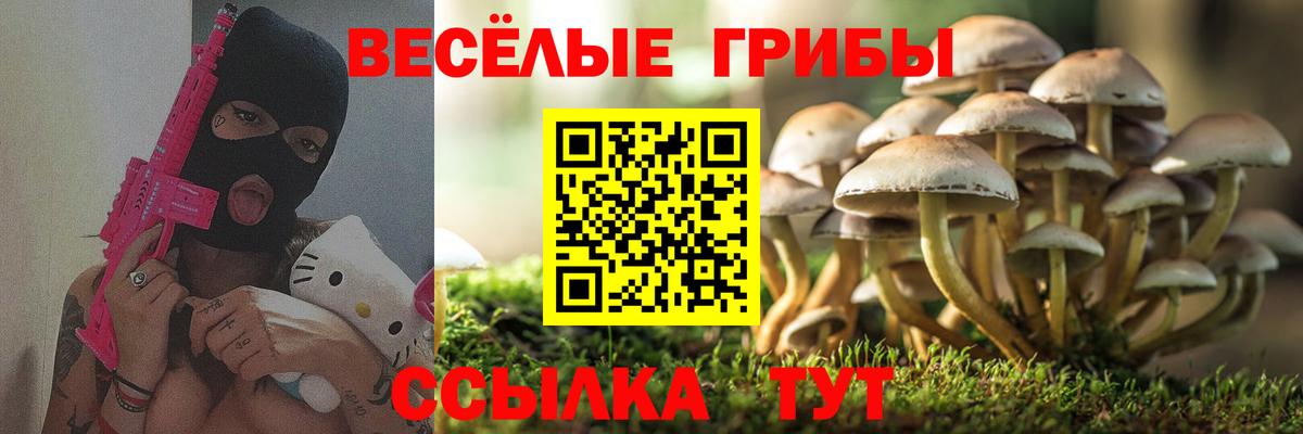 Галлюциногенные грибы ЛСД  Вход с VPN  Бугуруслан 